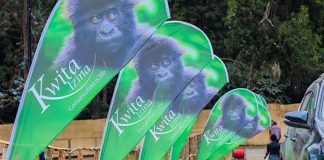 Kwita Izina Preparations in High Gear Kwita Izina