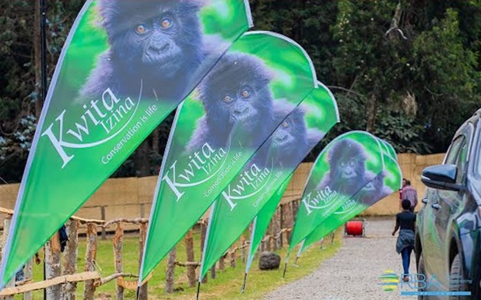 kwita-izina Kwita Izina